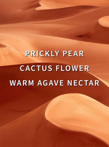 Wild Sand Moisturizing Body Wash 保濕沐浴露