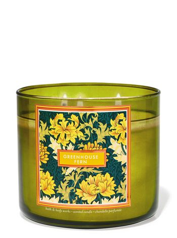 Greenhouse Fern 3-Wick Candle 三芯蠟燭
