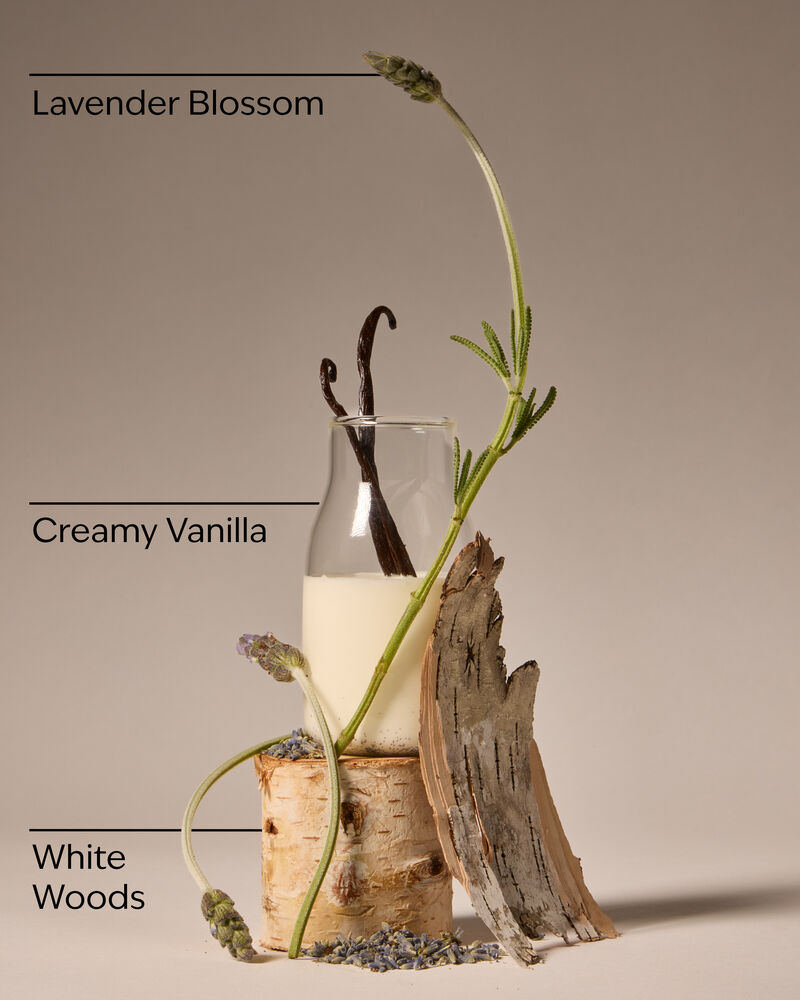 Lavender Vanilla Wallflowers Fragrance Refill 香氛補充液