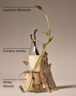 Lavender Vanilla Wallflowers Fragrance Refill image number null