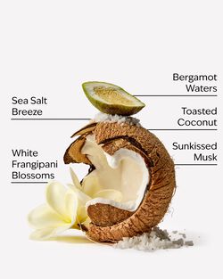 At The Beach Exfoliating Beach Body Scrub image number null