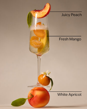 Peach Bellini Single Wick Candle 單芯蠟燭