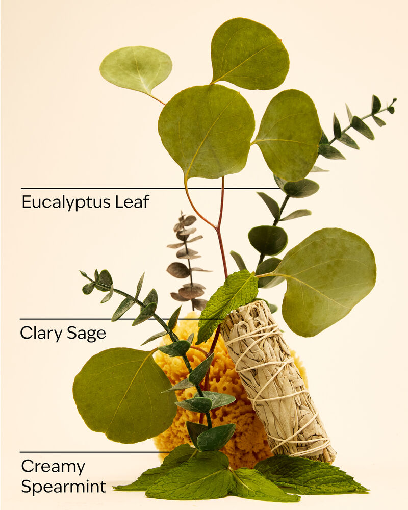 Eucalyptus + Spearmint Gentle & Clean Foaming Hand Soap 溫和泡泡潔手液