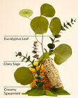 Eucalyptus + Spearmint Gentle & Clean Foaming Hand Soap image number null