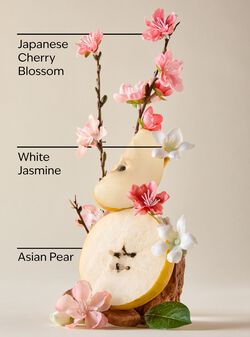Japanese Cherry Blossom Travel Size Fine Fragrance Mist image number null
