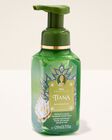 Tiana Gentle & Clean Foaming Hand Soap image number null