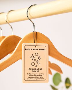 Champagne Toast Hanging Fragrance Diffuser image number null