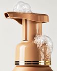 Sweet Orange & Agave Gentle & Clean Foaming Hand Soap image number null