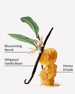 Whipped Honey & Vanilla Daily Moisturizing Hand Soap image number null