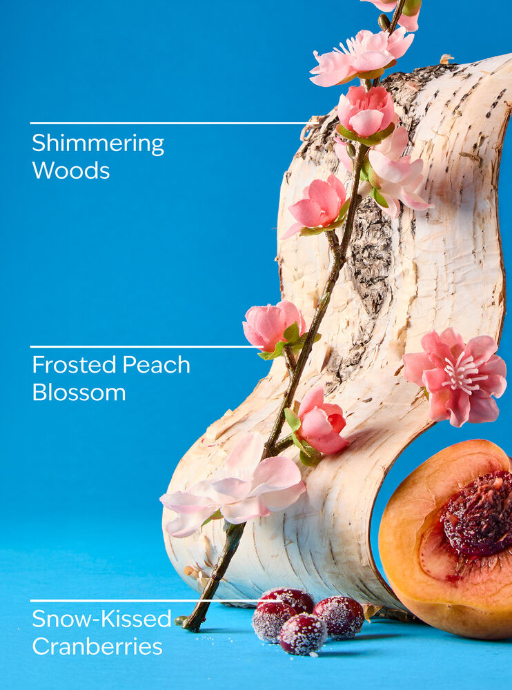 Snowy Peach Berry Gentle & Clean Foaming Hand Soap 溫和泡泡潔手液
