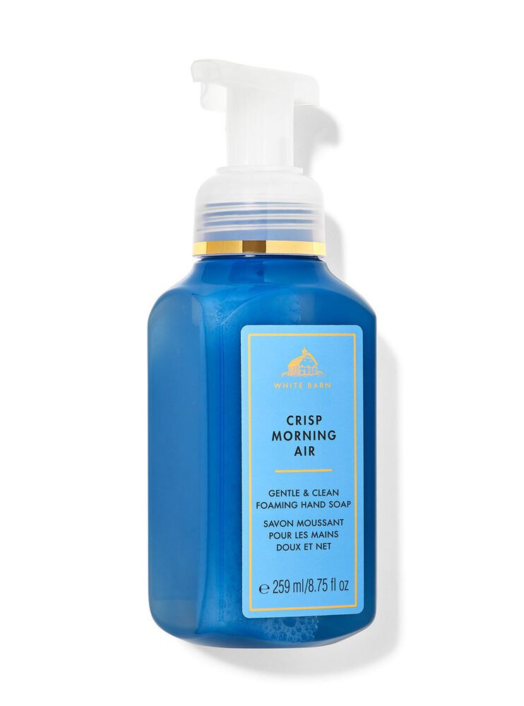 Crisp Morning Air Gentle & Clean Foaming Hand Soap 溫和泡泡潔手液