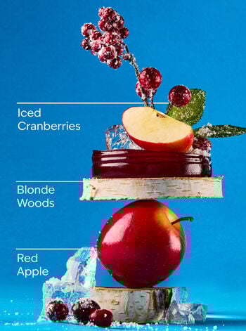 Frosted Cranberry 3-Wick Candle 三芯蠟燭