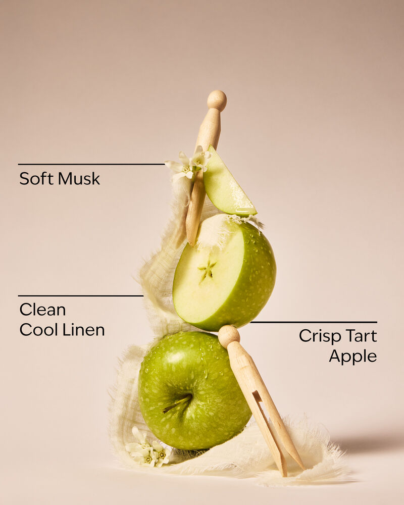 Sun-Drenched Linen Wallflowers Fragrance Refill 香氛補充液