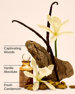 Vanilla Romance Whipped Body Butter image number null