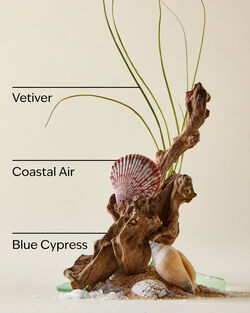 Ocean Gift Set image number null