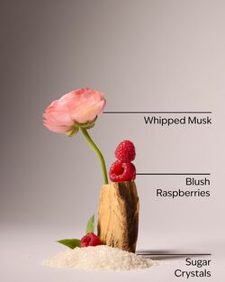Sweetest Song Gift Set image number null