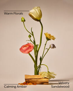 Warm Summer Evening Single Wick Candle image number null