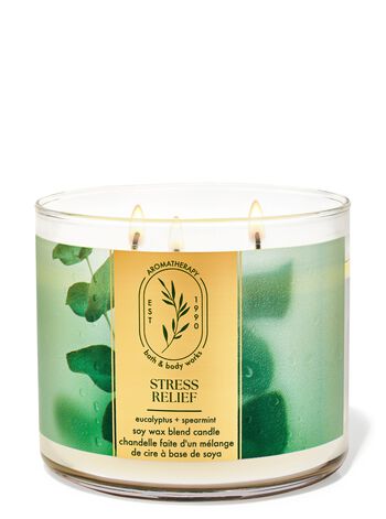 Eucalyptus Spearmint 3-Wick Candle 三芯蠟燭