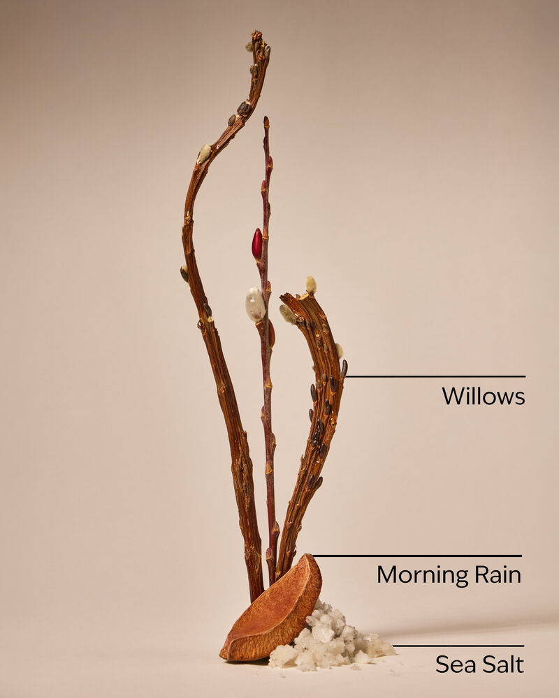 Rainfall Cleansing Gel Hand Soap 凝膠洗手液