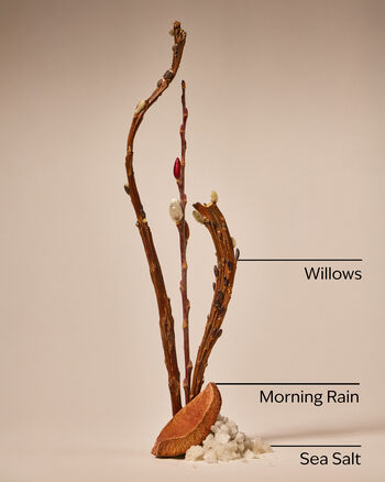 Rainfall Cleansing Gel Hand Soap 凝膠洗手液