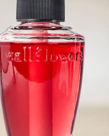 Viva Brazil Wallflowers Fragrance Refill 香氛補充液