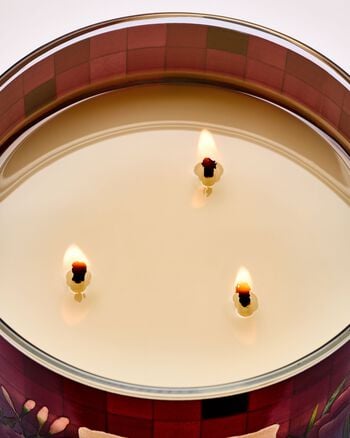Poppy 3-Wick Candle 三芯蠟燭