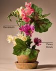 Springtime Greenhouse Gentle & Clean Foaming Hand Soap image number null