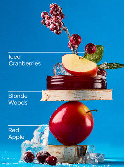 Frosted Cranberry Gentle & Clean Foaming Hand Soap image number null