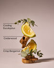 Onyx Frost Hanging Fragrance Diffuser image number null