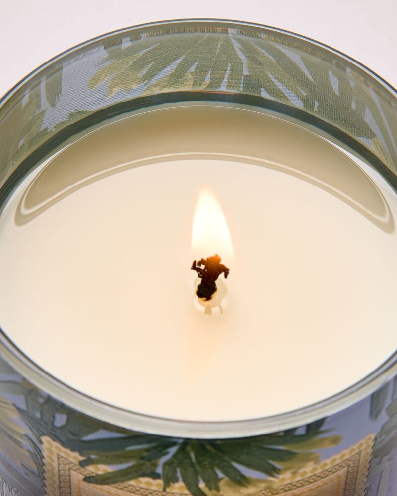 Warm Ocean Breeze Single Wick Candle Single Wick Candle
