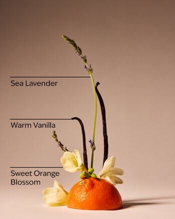 Sweet Orange Blossom Gentle & Clean Foaming Hand Soap 溫和泡泡潔手液