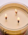 Coconut Pi&ntilde;a Colada 3-Wick Candle image number null