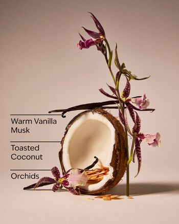 Tiki Beach Wallflowers Fragrance Refill Wallflowers Fragrance Refill