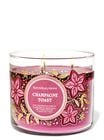 Champagne Toast 3-Wick Candle image number null