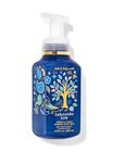 Lakeside Life Gentle & Clean Foaming Hand Soap image number null