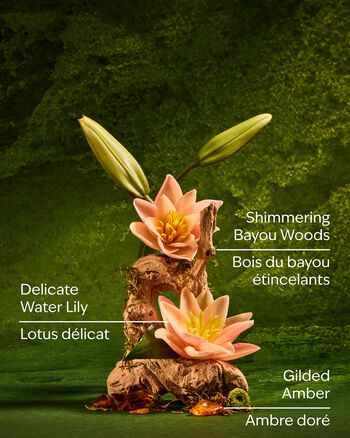 Tiana Ultimate Hydration Body Cream 極緻保濕身體乳霜