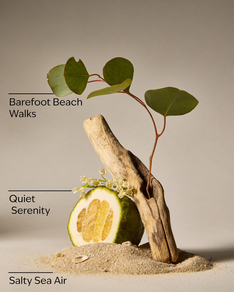 Ocean Town Bound Wallflowers Fragrance Refill 香氛補充液