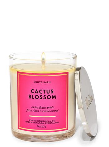 Cactus Blossom Signature Single Wick Candle 招牌單芯蠟燭