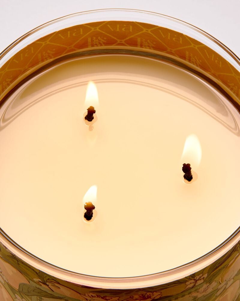 Peach Blossom & Nectar 3-Wick Candle 三芯蠟燭