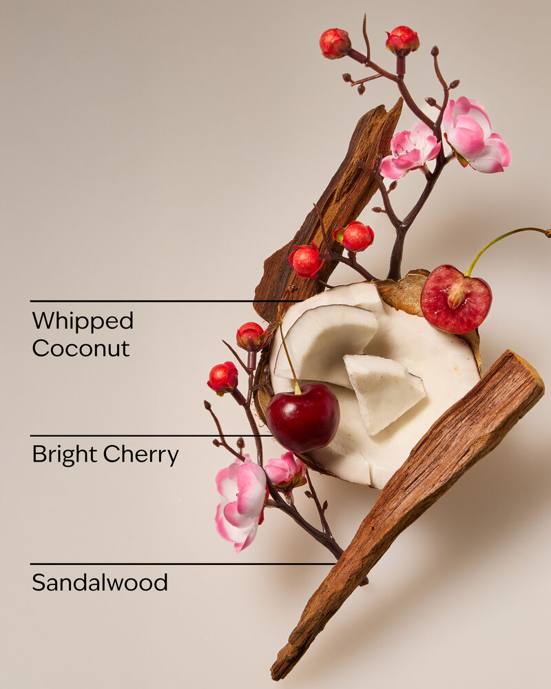 Tropical Cherry Wallflowers Fragrance Refill 香氛補充液