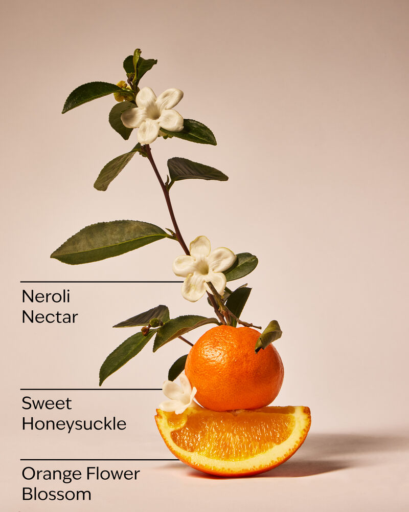 Backyard Honeysuckle 3-Wick Candle 三芯蠟燭