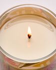 Coconut Pi&ntilde;a Colada Single Wick Candle image number null