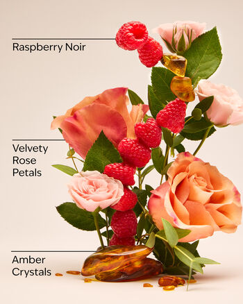 Into The Night Gift Set 禮物套裝