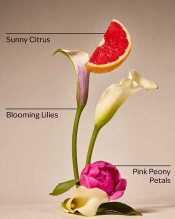 First Blooms Of Spring 3-Wick Candle 三芯蠟燭