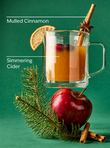 Christmas Cider Wallflowers Fragrance Refill 香氛補充液