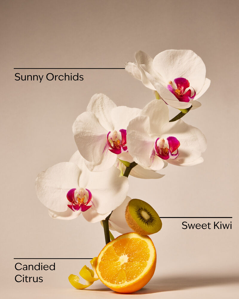 Pink Kiwi Berry Daily Moisturizing Hand Soap 日常保濕洗手液