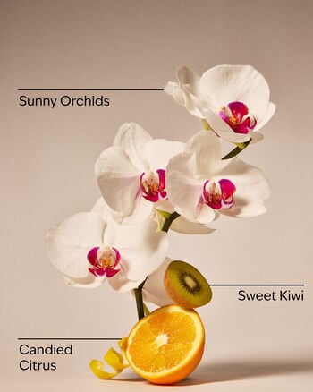 Pink Kiwi Berry Daily Moisturizing Hand Soap 日常保濕洗手液