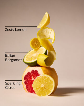 Kitchen Lemon Gentle & Clean Foaming Hand Soap 溫和泡泡潔手液
