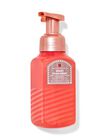 Snowy Peach Berry Gentle & Clean Foaming Hand Soap image number null