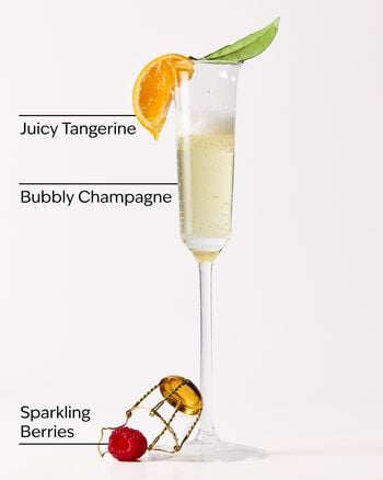 Champagne Toast PocketBac Hand Sanitizer PocketBac搓手液